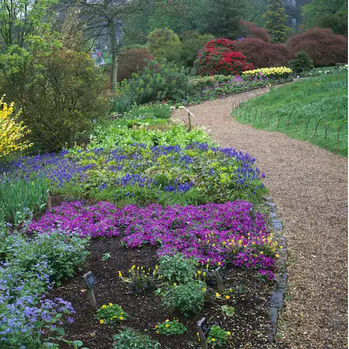 A winding path representing progress through self-compassion, not perfection