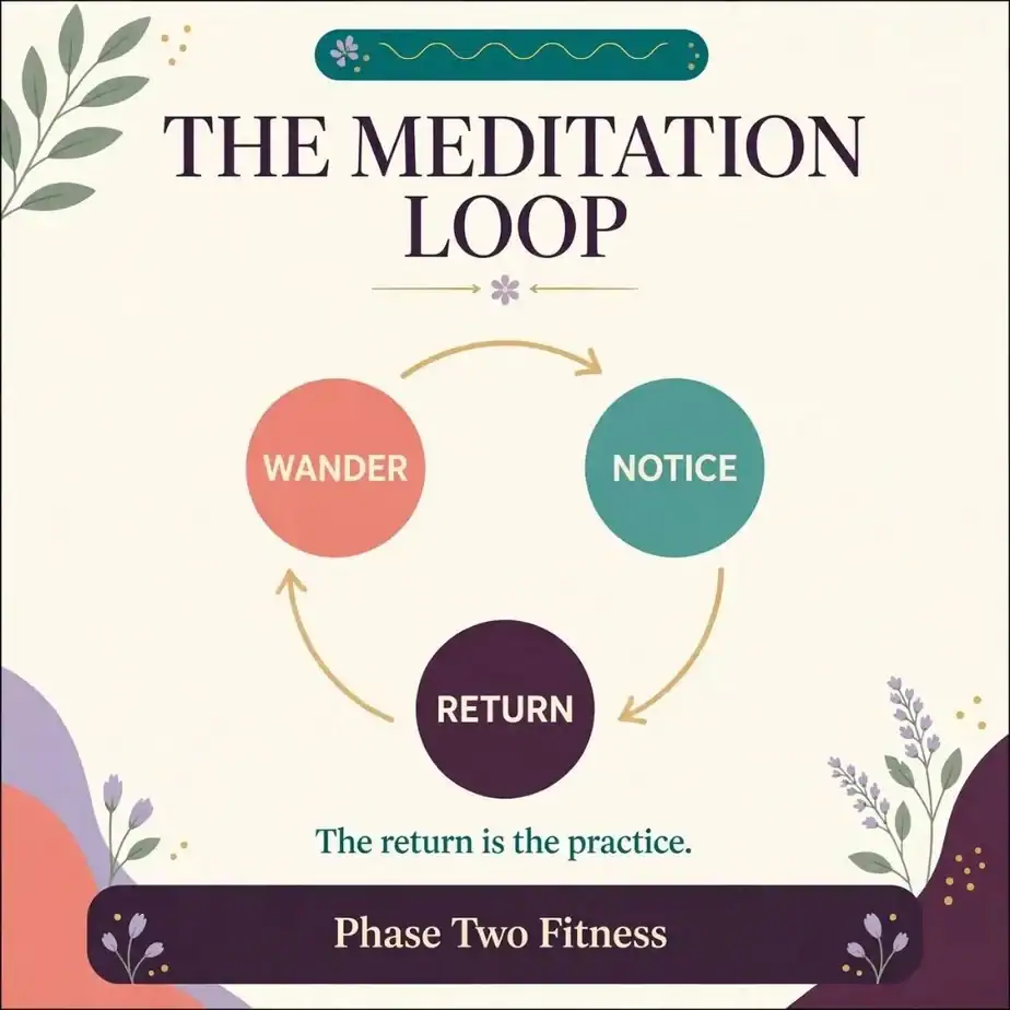 "Infographic titled 'The Meditation Loop.' Three circles connected by curved arrows form a continuous loop, labeled Wander, Notice, and Return. Beneath the loop, text reads: 'The return is the practice.' Phase Two Fitness."